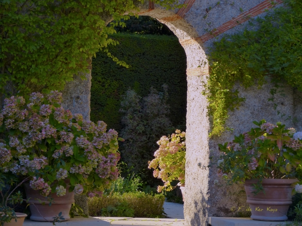Eté indien au Bois des Moutiers 2